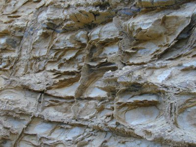 Rock Texture at Wollongong