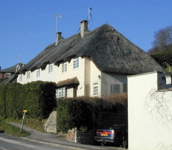 Thatch Roof 1011