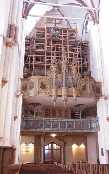 Organ 1036